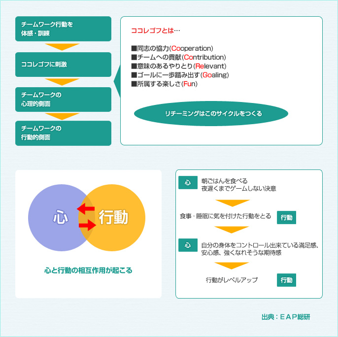 チームワーク行動を体感・訓練 ココレゴフに刺激 チームワークの心理的側面 チームワークの行動的側面 リチーミングはこのサイクルをつくる 心と行動の相互作用が起こる